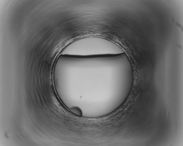 X0000099530002200805160736