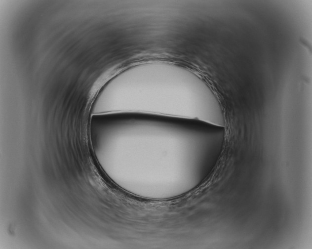 X0000099530004200805160736