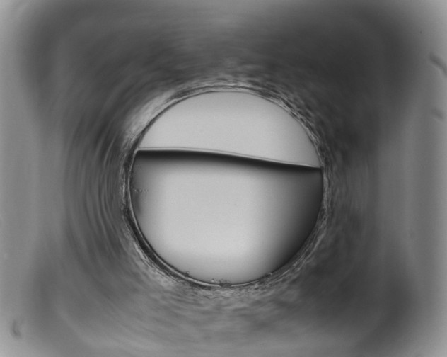X0000099530005200805160736