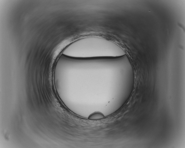 X0000099530006200805160736