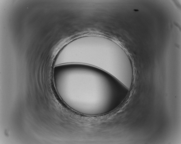 X0000099530007200805160736