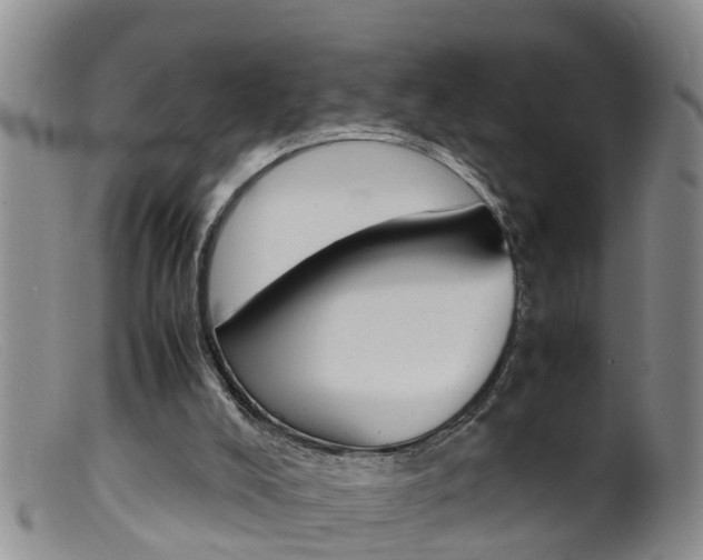 X0000099530008200805160736