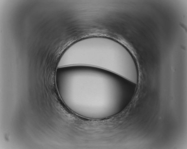 X0000099530009200805160736