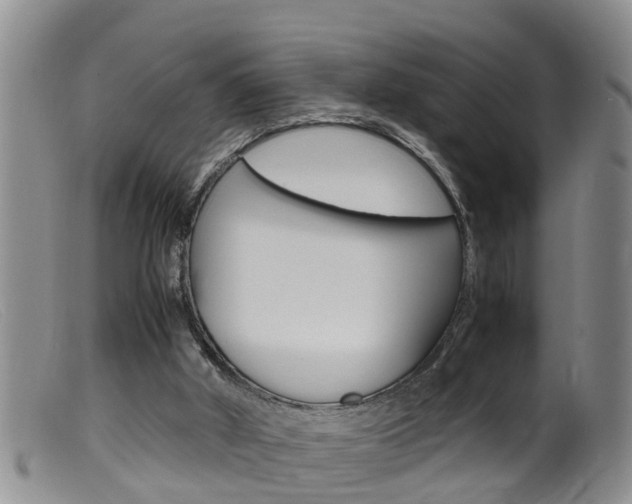 X0000099530010200805160736