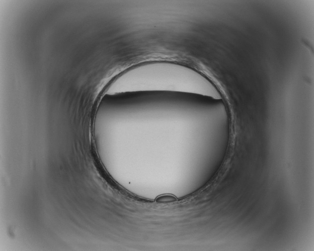 X0000099530011200805160736
