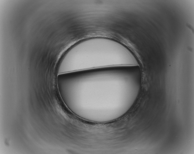 X0000099530012200805160736
