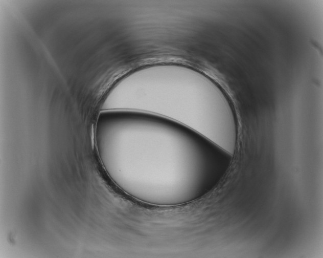 X0000099530013200805160736