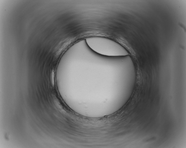 X0000099530014200805160736