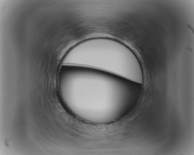 X0000099530015200805160736