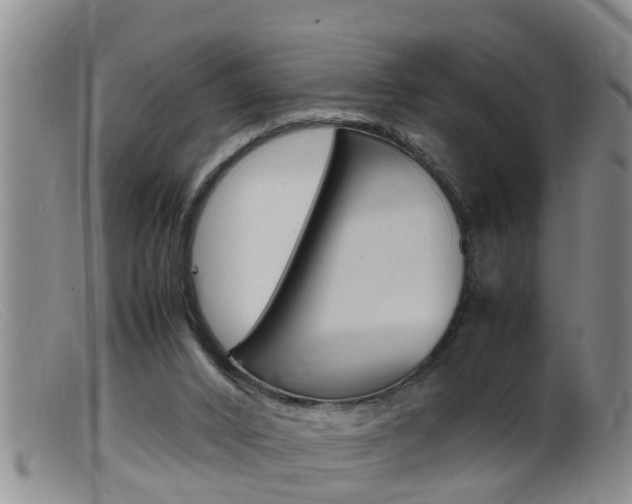 X0000099530016200805160736