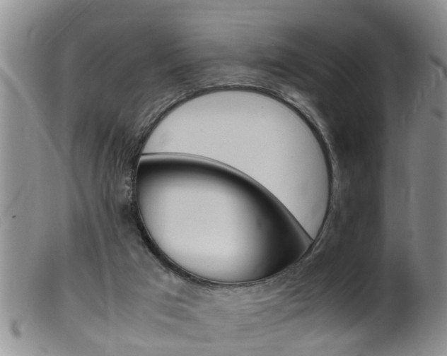 X0000099530017200805160736