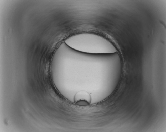 X0000099530018200805160736