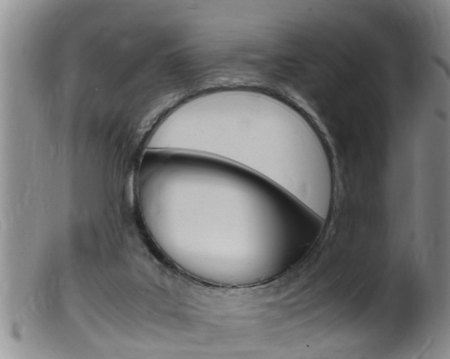 X0000099530019200805160736