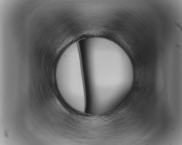 X0000099530020200805160736