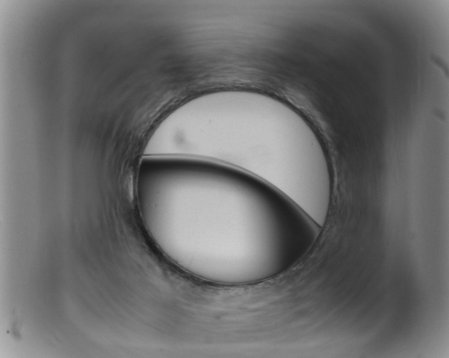 X0000099530021200805160736