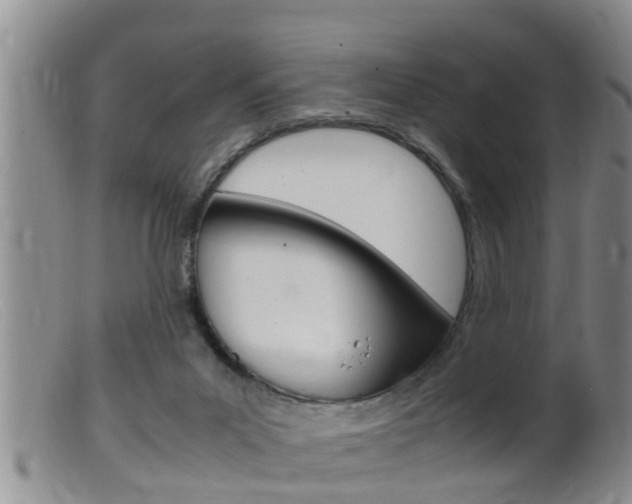X0000099530023200805160736