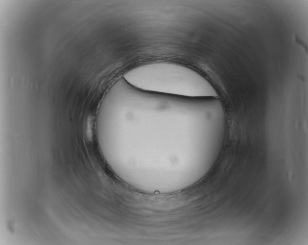 X0000099530026200805160736