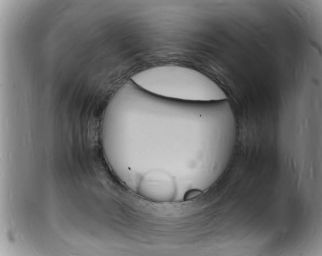 X0000099530030200805160736