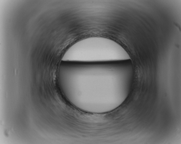 X0000099530032200805160736