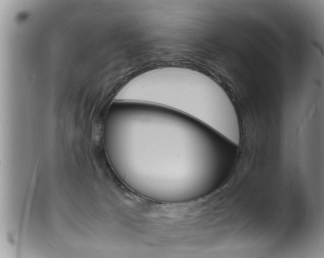 X0000099530033200805160736