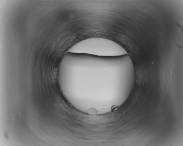 X0000099530034200805160736