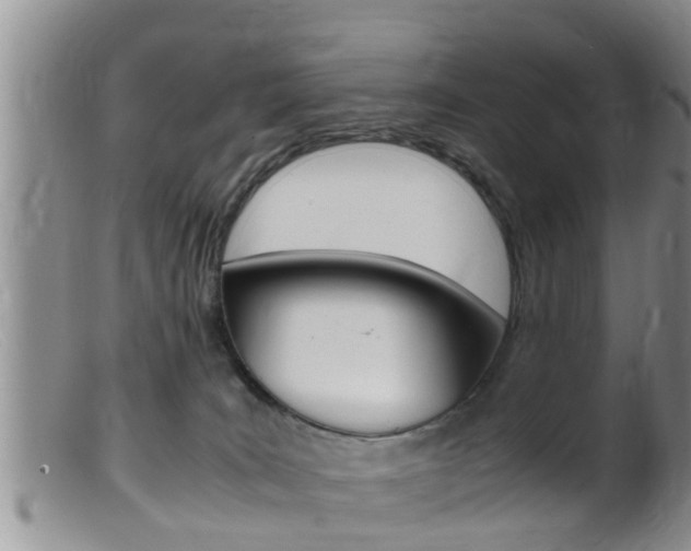 X0000099530035200805160736