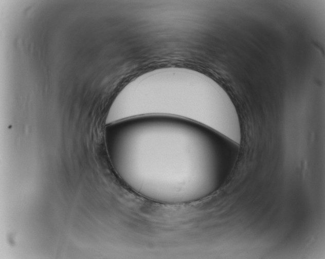 X0000099530037200805160736