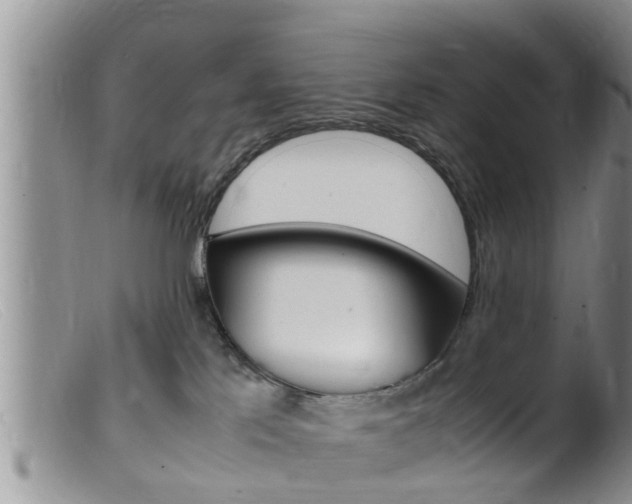 X0000099530041200805160736