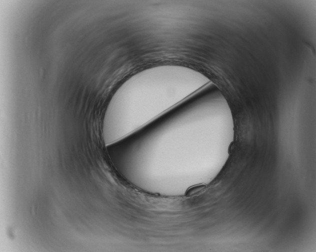 X0000099530044200805160735