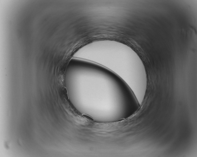 X0000099530045200805160735