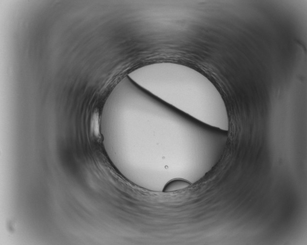 X0000099530046200805160735