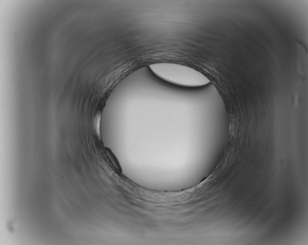 X0000099530047200805160735