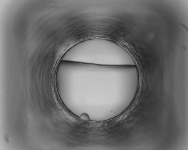 X0000099530049200805160735