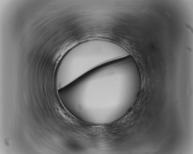 X0000099530050200805160735