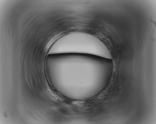 X0000099530051200805160735