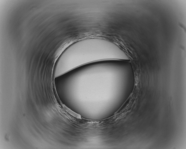 X0000099530052200805160735