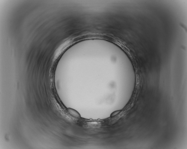 X0000099530053200805160735