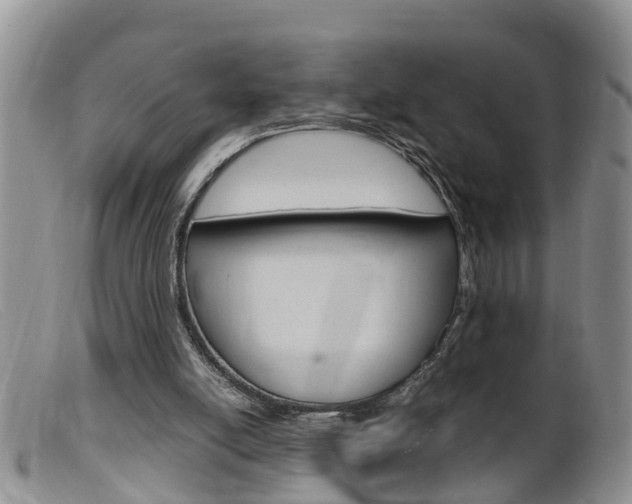 X0000099530054200805160735