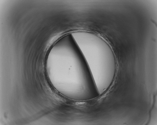 X0000099530055200805160735