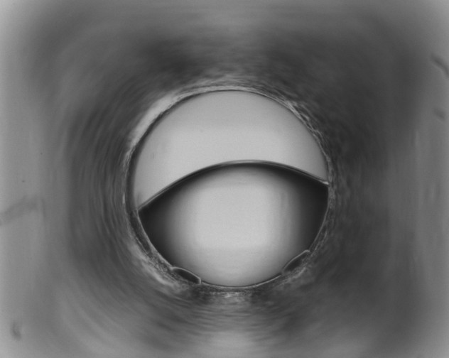 X0000099530056200805160735