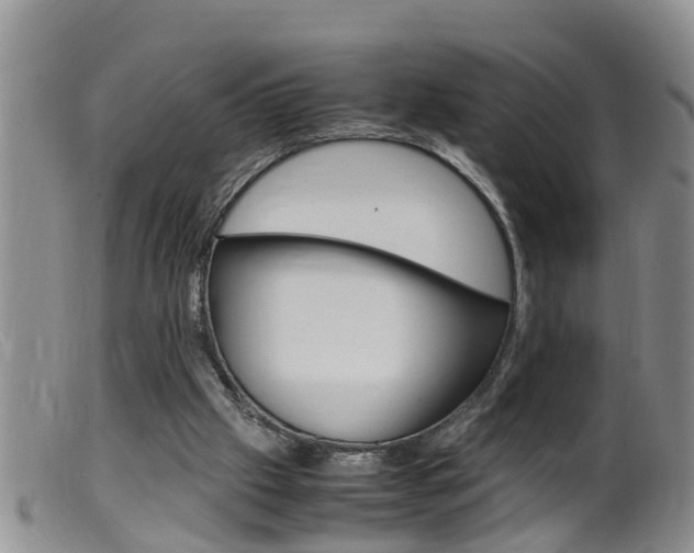 X0000099530057200805160735