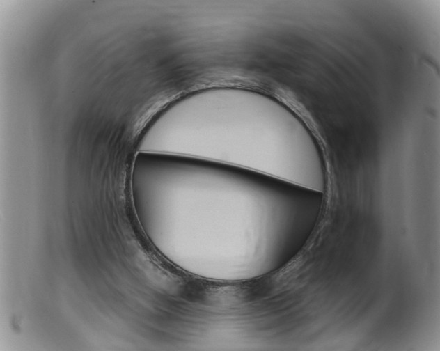 X0000099530058200805160735