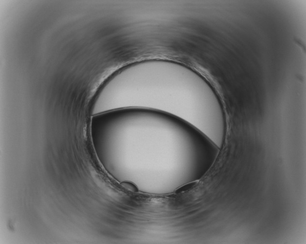 X0000099530060200805160735