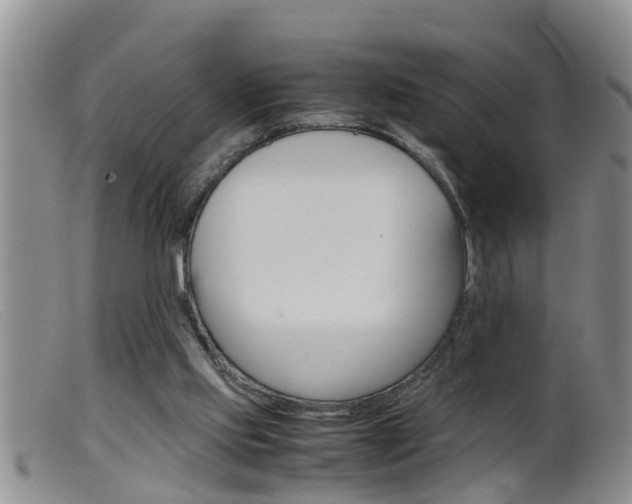 X0000099530061200805160735