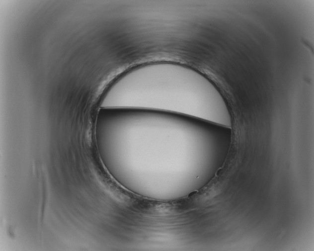 X0000099530064200805160735