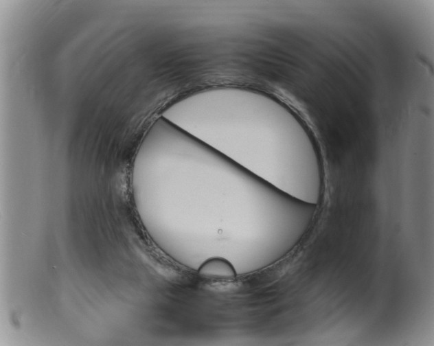 X0000099530065200805160735
