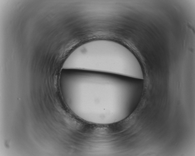 X0000099530066200805160735