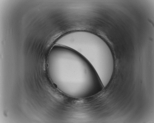 X0000099530068200805160735