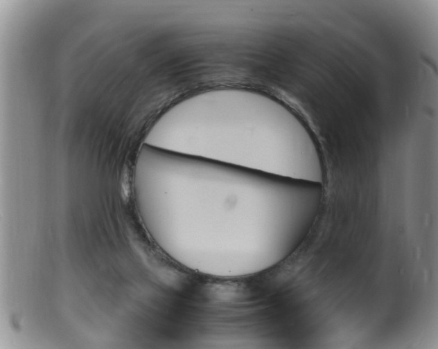 X0000099530069200805160735