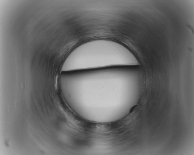 X0000099530070200805160735
